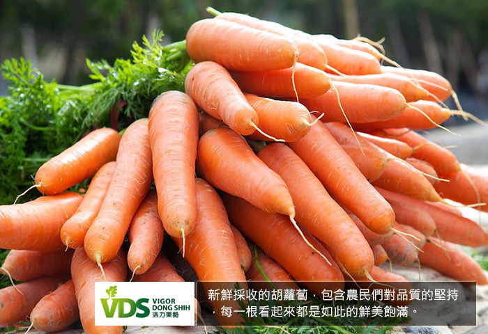 VDS100%紫胡蘿蔔綜合蔬果汁(24瓶/箱)