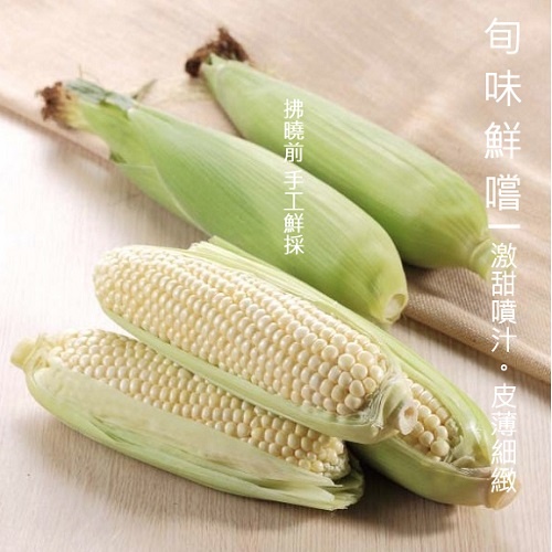 鮮綠 白色水果玉米4組(32支)